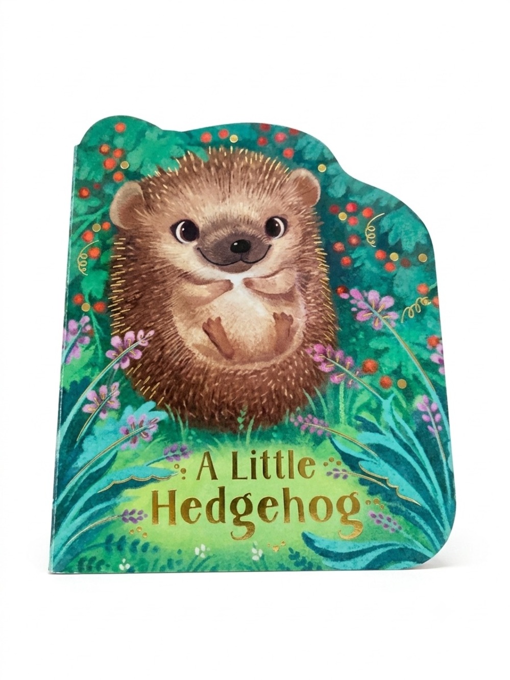 🎉 "A Little Hedgehog" Shaped Board Book